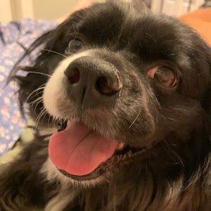 Meet your Posher, Greg